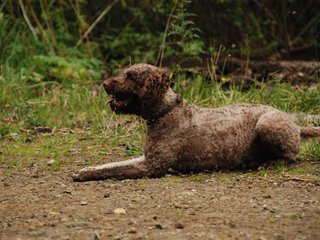 2009-10-03_ntb_9995