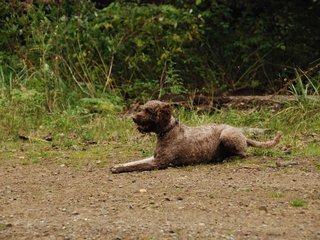 2009-10-03_ntb_9996