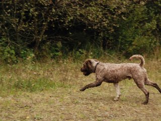 2009-10-03_ntb_9997