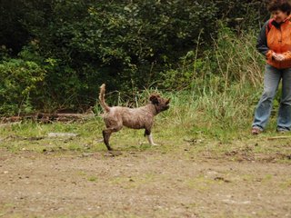 2009-10-03_ntb_9999