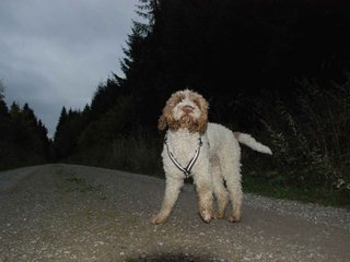 2009-10-03_ntb_0030