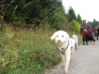 2009-10-03_ntb_0031