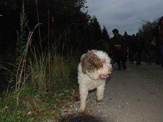 2009-10-03_ntb_0032