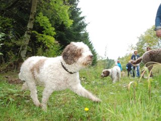 2009-10-03_ntb_0033