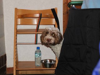 2009-10-03_ntb_0042