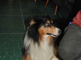 2009-10-03_ntb_0043