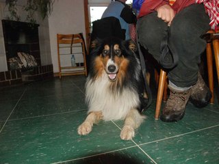 2009-10-03_ntb_0044