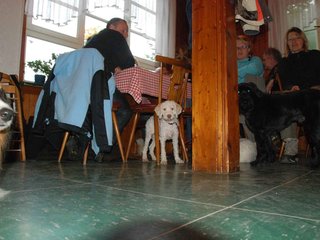 2009-10-03_ntb_0067