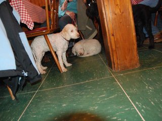 2009-10-03_ntb_0070