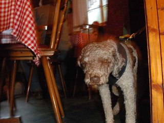 2009-10-03_ntb_0085