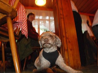 2009-10-03_ntb_0086