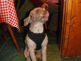 2009-10-03_ntb_0087