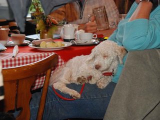 2009-10-03_ntb_0089