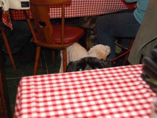 2009-10-03_ntb_0092