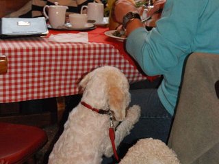 2009-10-03_ntb_0093