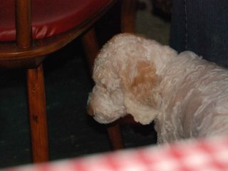 2009-10-03_ntb_0094