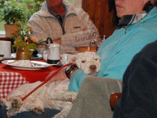 2009-10-03_ntb_0095