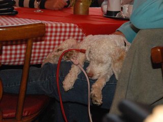2009-10-03_ntb_0098