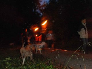 2009-10-03_ntb_0112