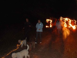 2009-10-03_ntb_0132