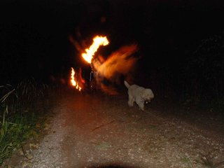 2009-10-03_ntb_0136