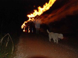 2009-10-03_ntb_0137