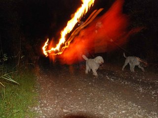 2009-10-03_ntb_0142