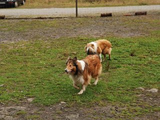 2009-10-04_ntb_0154