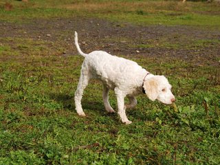 2009-10-04_ntb_0156