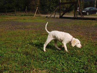 2009-10-04_ntb_0158