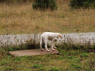 2009-10-04_ntb_0160