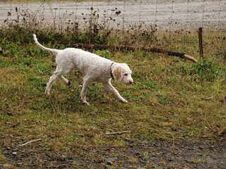 2009-10-04_ntb_0161