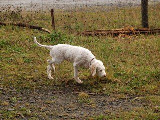 2009-10-04_ntb_0162