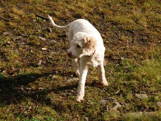2009-10-04_ntb_0164