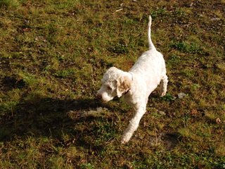2009-10-04_ntb_0165