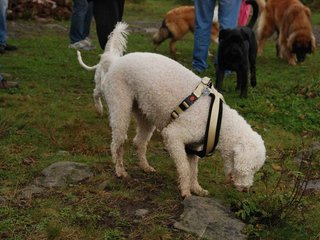 2009-10-04_ntb_0166