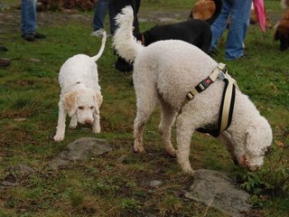 2009-10-04_ntb_0167