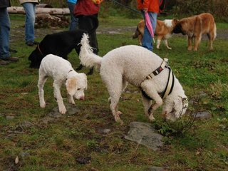 2009-10-04_ntb_0168