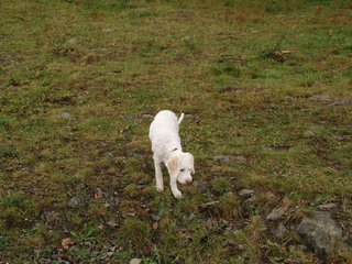2009-10-04_ntb_0170
