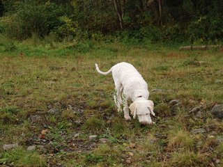 2009-10-04_ntb_0171