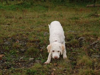 2009-10-04_ntb_0172