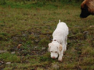 2009-10-04_ntb_0173