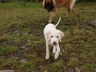 2009-10-04_ntb_0176