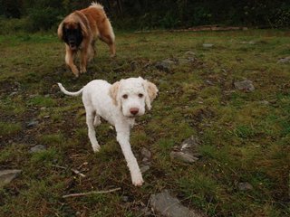 2009-10-04_ntb_0177