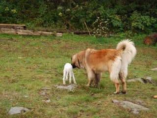 2009-10-04_ntb_0179