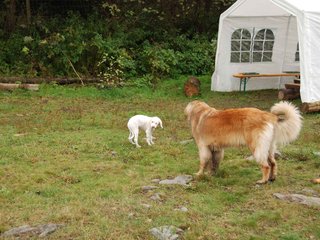 2009-10-04_ntb_0180