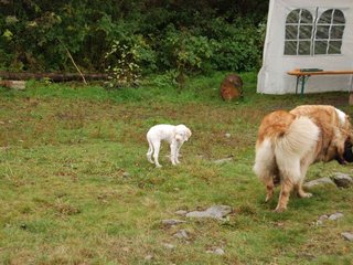 2009-10-04_ntb_0181