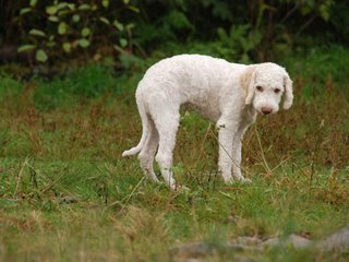 2009-10-04_ntb_0182