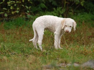 2009-10-04_ntb_0183
