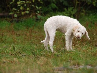 2009-10-04_ntb_0184